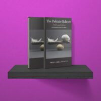 The Delicate Balance - Image 3